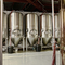 5HL Automatizované přizpůsobené Pub Craft Beer Pivovar zařízení na prodej