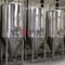 5BBL Komerční nerezová ocel Dimple Jacket Beer Fermentation Tank / Cylindrical Conical Tank